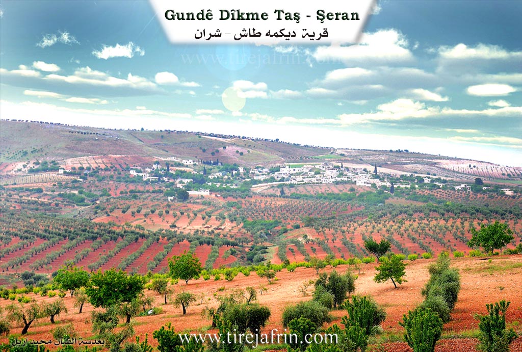 Photo of Dîkmedaşê